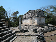 South Acropolis Edifice XXXIX at Yaxchilan Ruins - yaxchilan mayan ruins,yaxchilan mayan temple,mayan temple pictures,mayan ruins photos